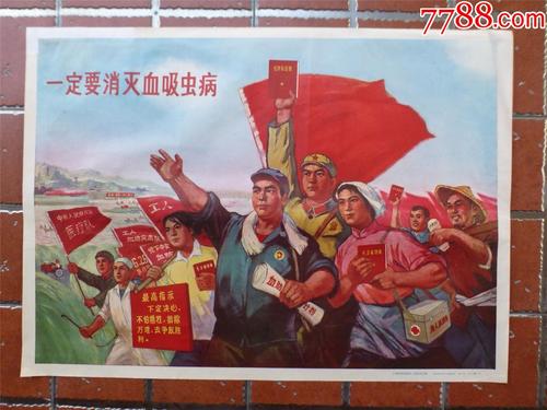 奈耶诺德大学学历认证